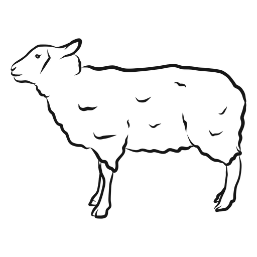 Dibujo de cordero de lana de pezuña de oveja Diseño PNG
