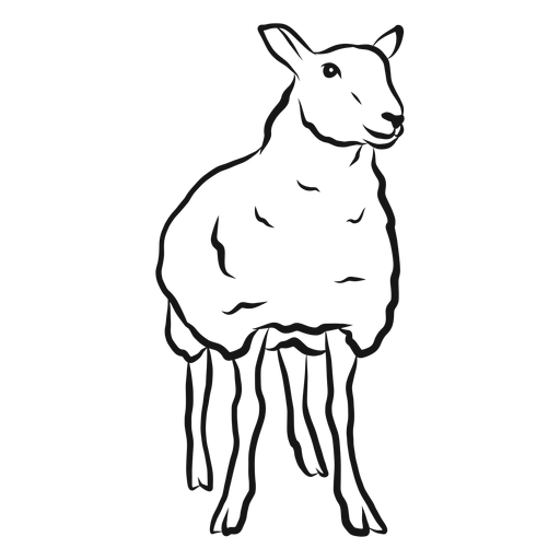 Sheep lamb wool hoof sketch - Transparent PNG & SVG vector file