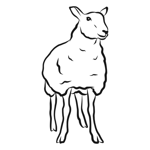 Sheep lamb wool hoof sketch PNG Design