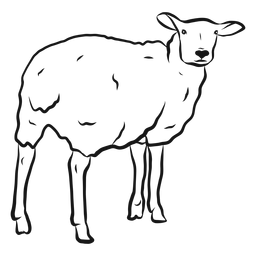 Desenho de casco de lã de ovelha Desenho PNG