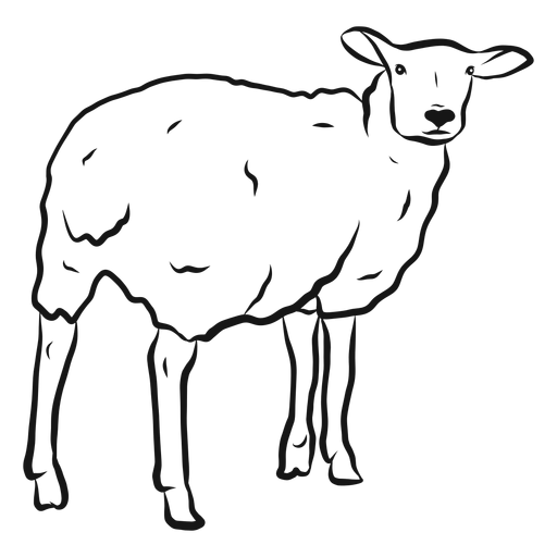 Sheep wool hoof sketch PNG Design