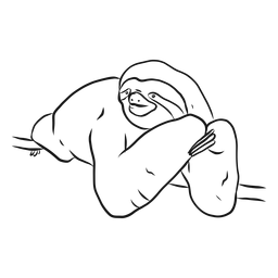 Dibujo de rama de garra de perezoso Diseño PNG