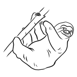 Desenho de garra de galho de árvore preguiça Desenho PNG