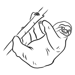 Sloth tree branch claw sketch PNG Design