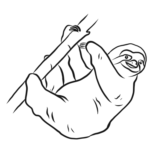 Sloth tree branch claw sketch PNG Design