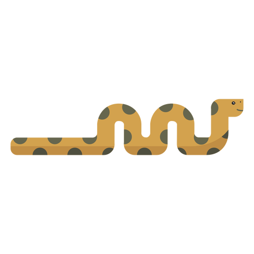Snake reptile long twisting flat Transparent PNG Snake reptile long twisting flat Transparent PNG