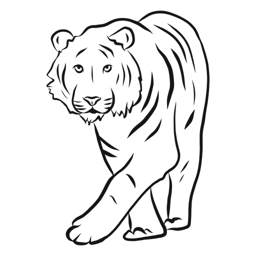 Dibujo de rayas de tigre Diseño PNG