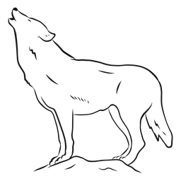 Lobo depredador aullido pierna cola boceto Lobo depredador aullido pierna cola boceto