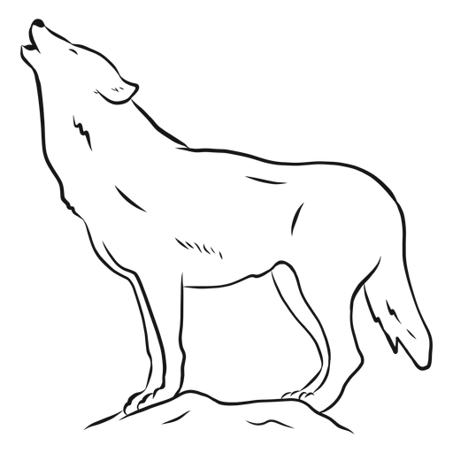 Lobo depredador aullido pierna cola boceto