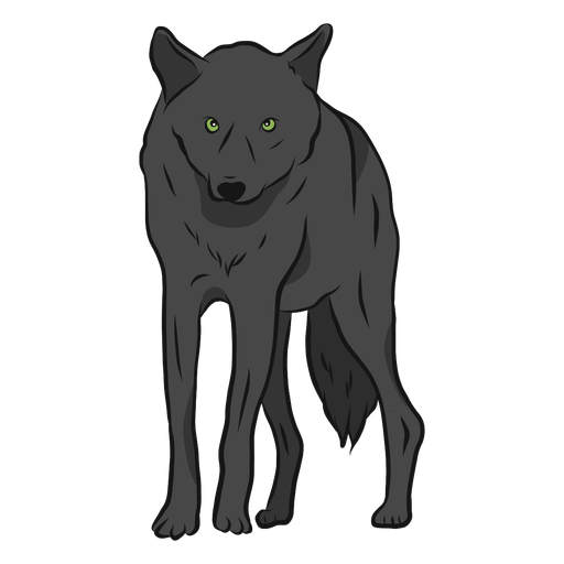 Wolf predator leg illustration