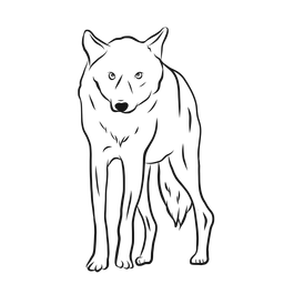 Wolf Raubtier Bein Skizze PNG-Design