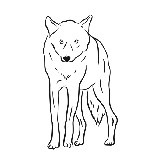 Dibujo de pierna de depredador lobo Diseño PNG