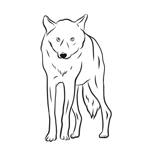Wolf predator leg sketch Transparent PNG Wolf predator leg sketch Transparent PNG