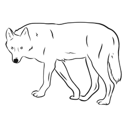 Desenho de cauda de lobo predador Desenho PNG