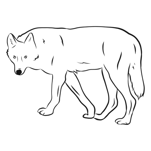 Dibujo de cola de pierna de depredador lobo