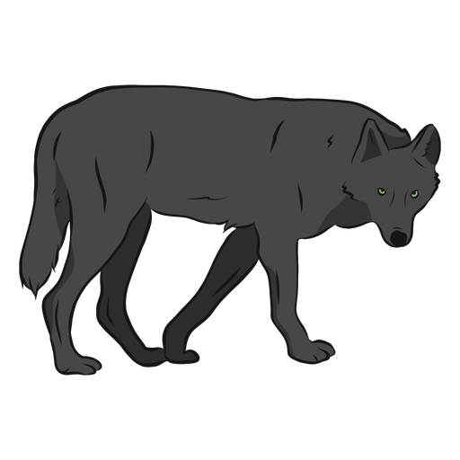 Wolf predator tail leg illustration