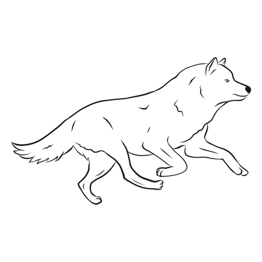 Dibujo de pierna de cola de depredador lobo