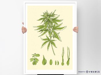 Cannabis Vector Design Cannabis Vector Design