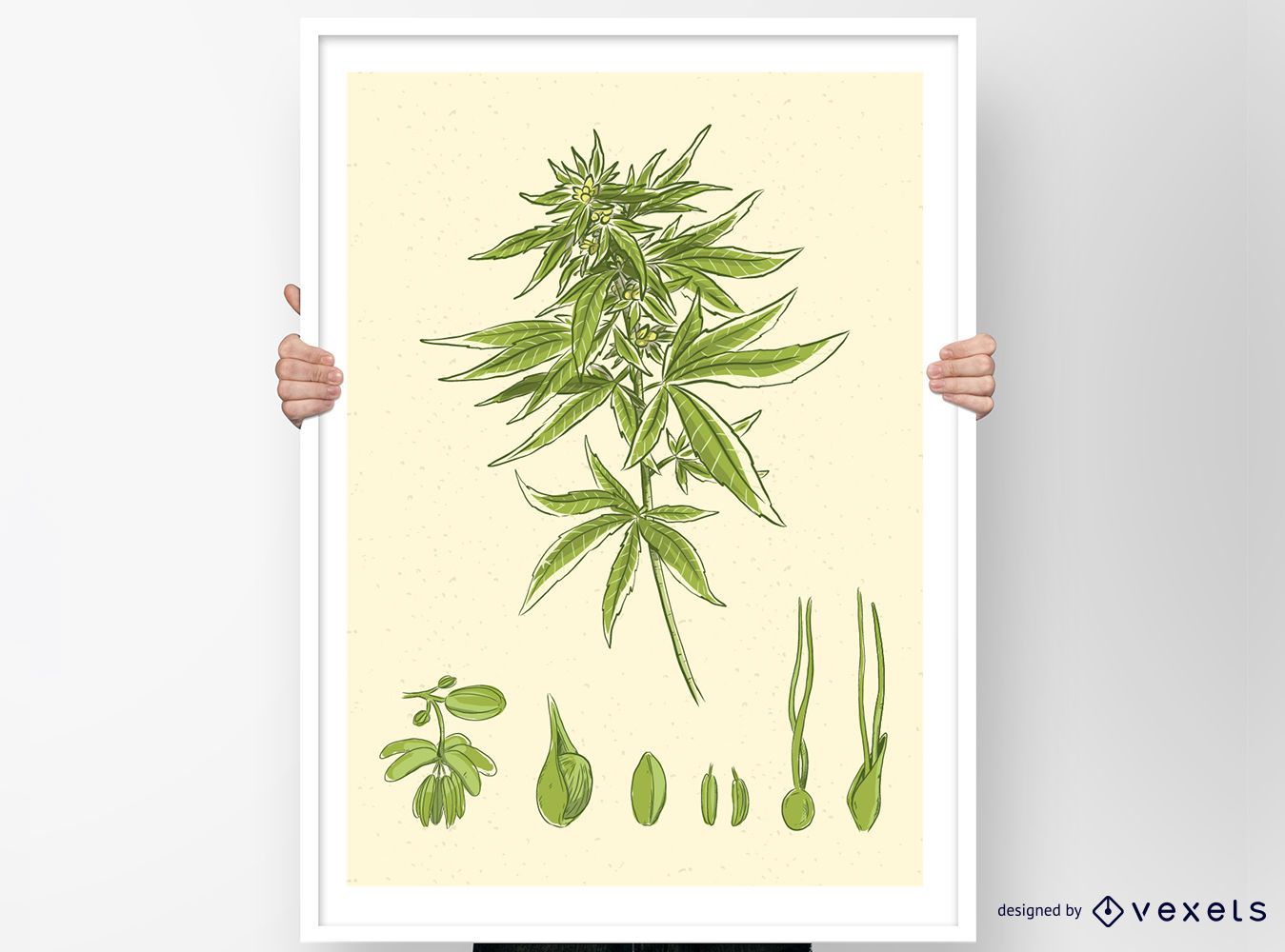 Diseño de carteles de vectores de cannabis