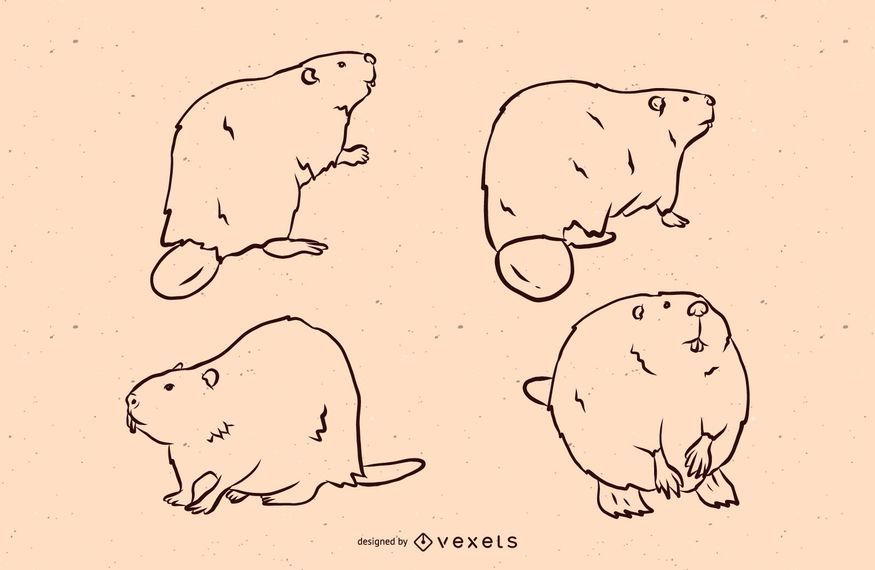 Beaver line illustration set Beaver line illustration set
