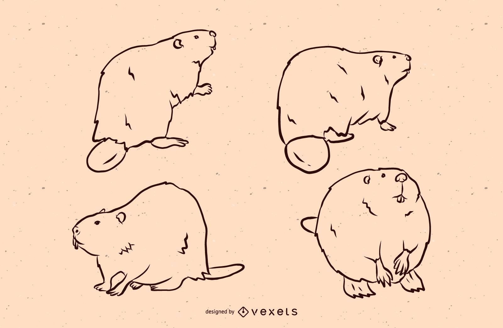 Beaver line illustration set