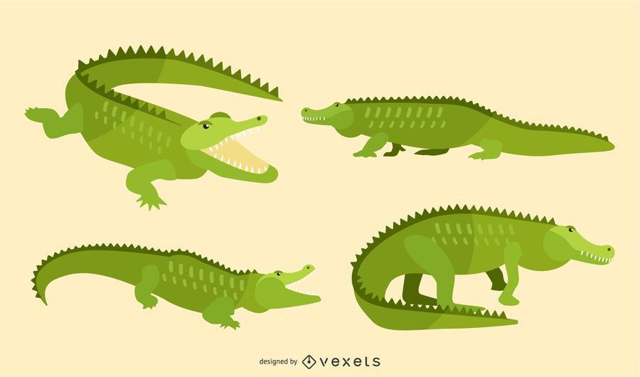 Flat Alligator Illustration Set Flat Alligator Illustration Set