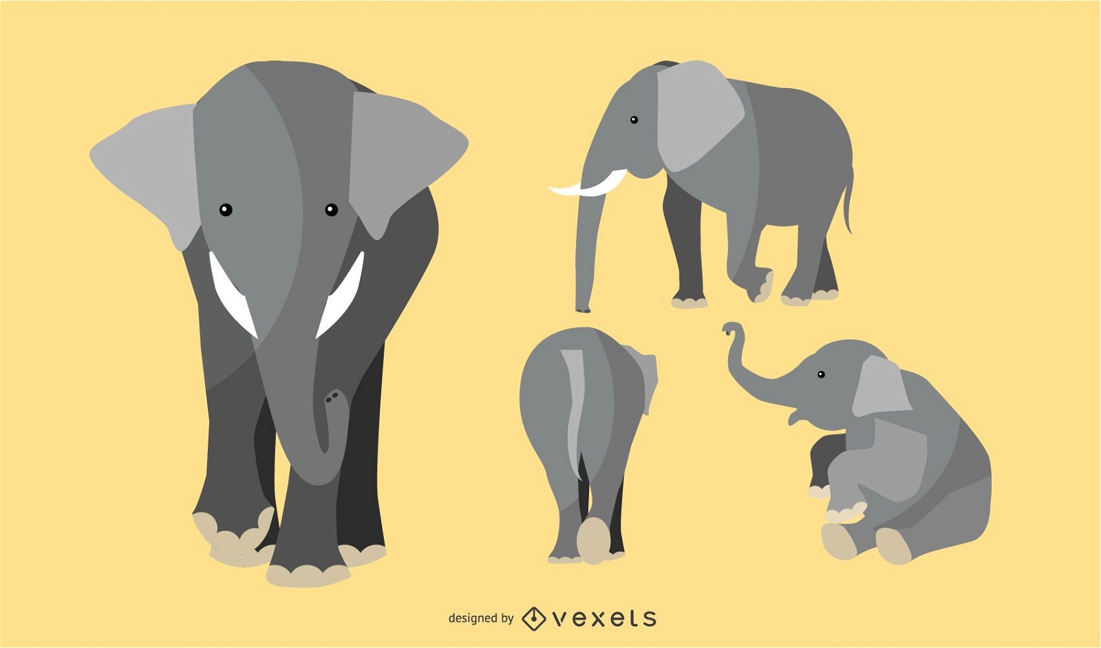 Flacher Elefant Illustrationssatz