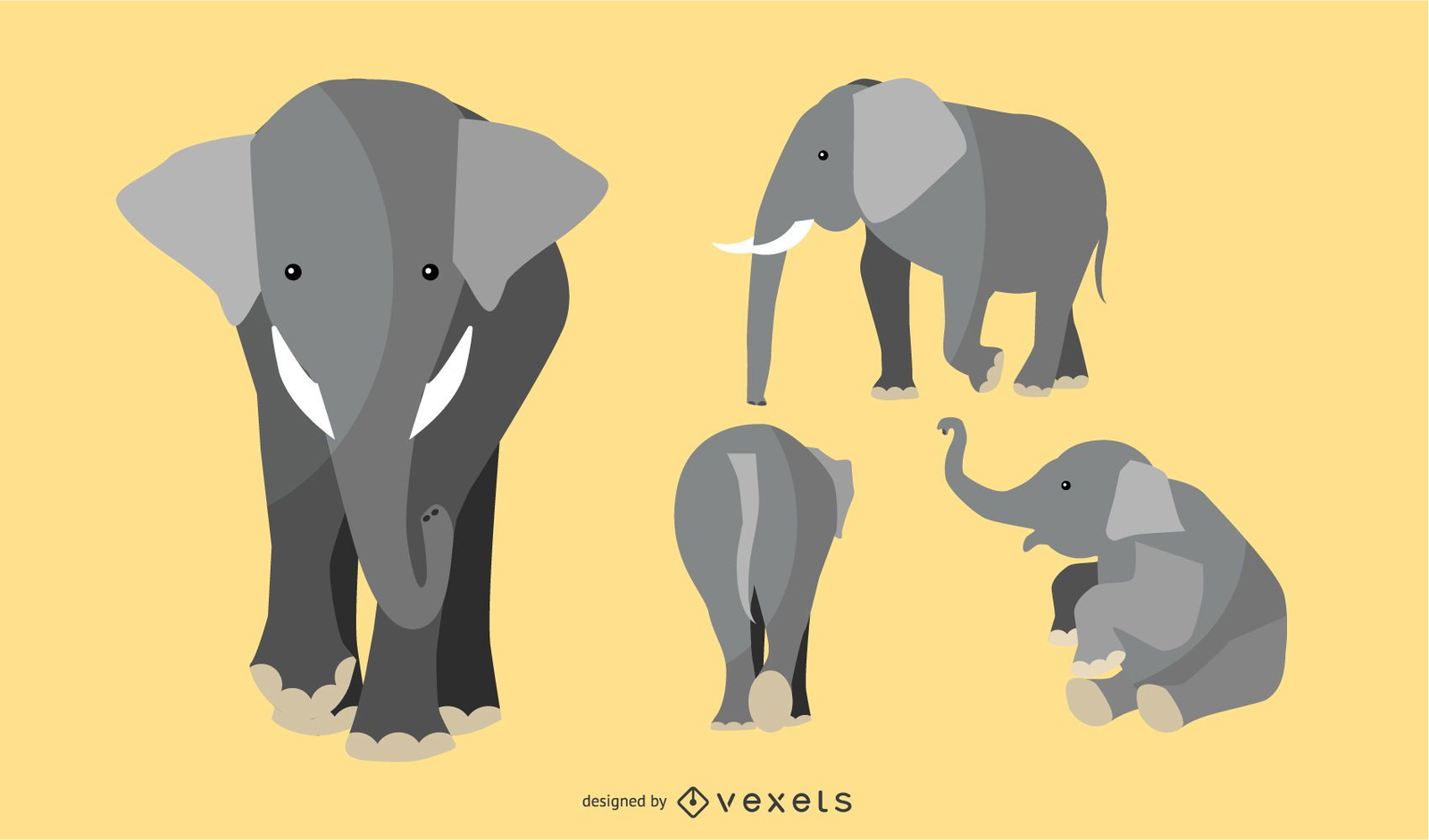 Flat Elephant Illustration Set