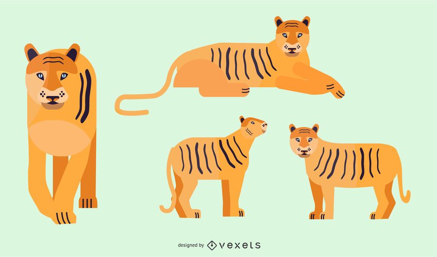 Flat Tiger Illustration Design Flat Tiger Illustration Design