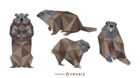 Design de vetor de marmota poligonal Design de vetor de marmota poligonal