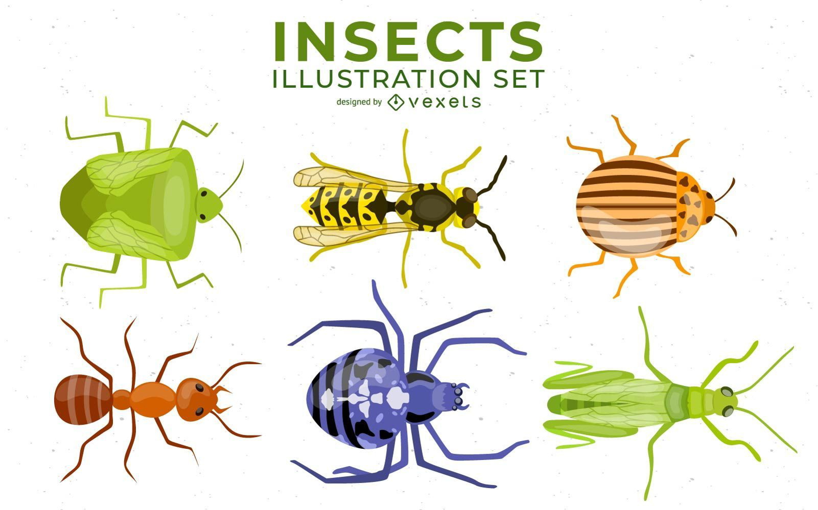 Conjunto de ilustração de insetos