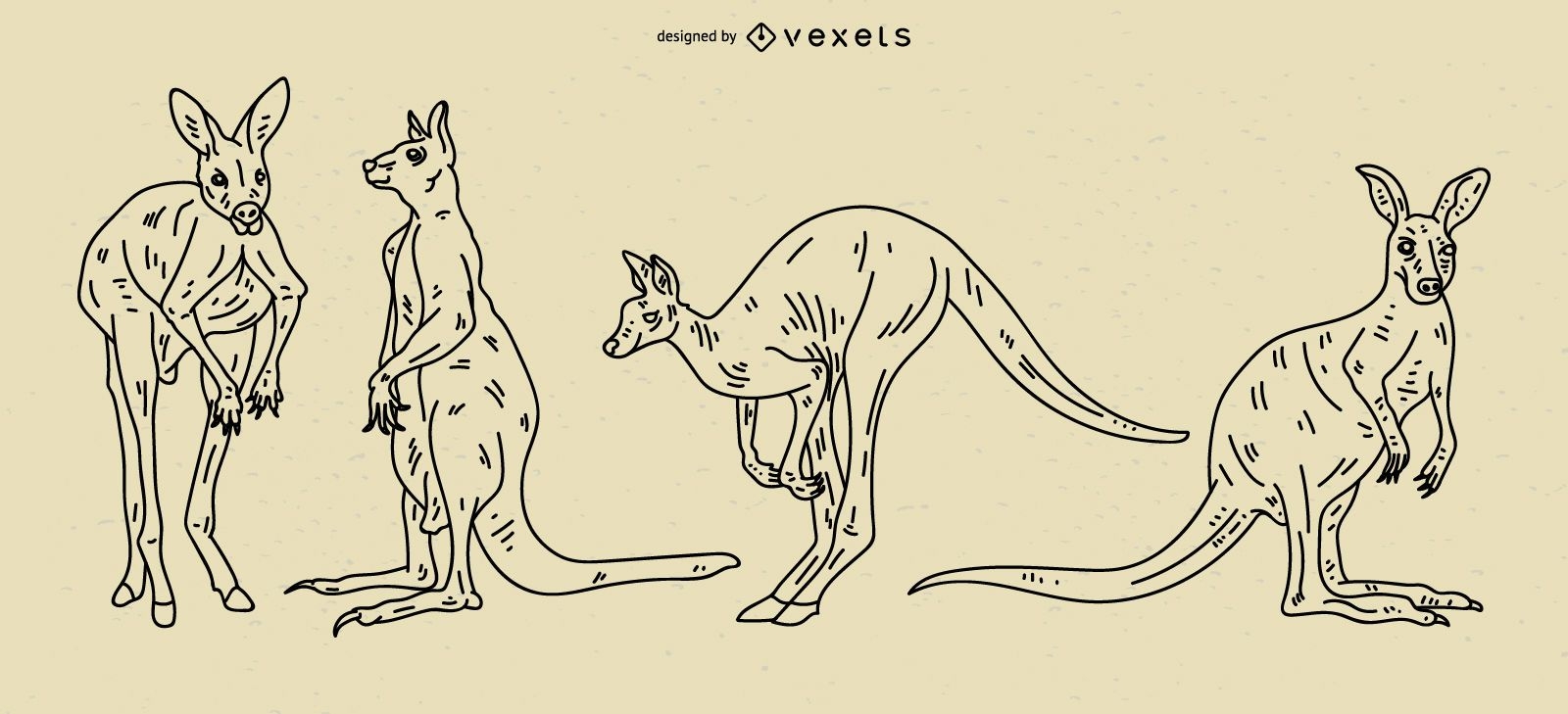 Kangaroo Stroke Illustration Set