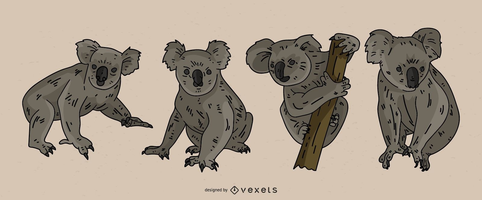 Koala Colored Illustration Set
