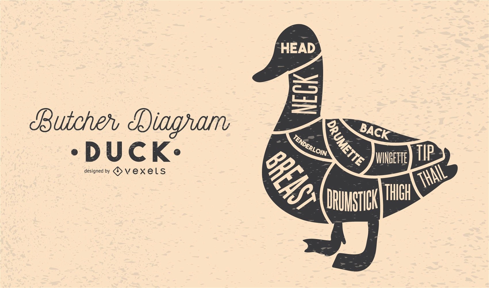 Duck Butcher Diagram Illustration