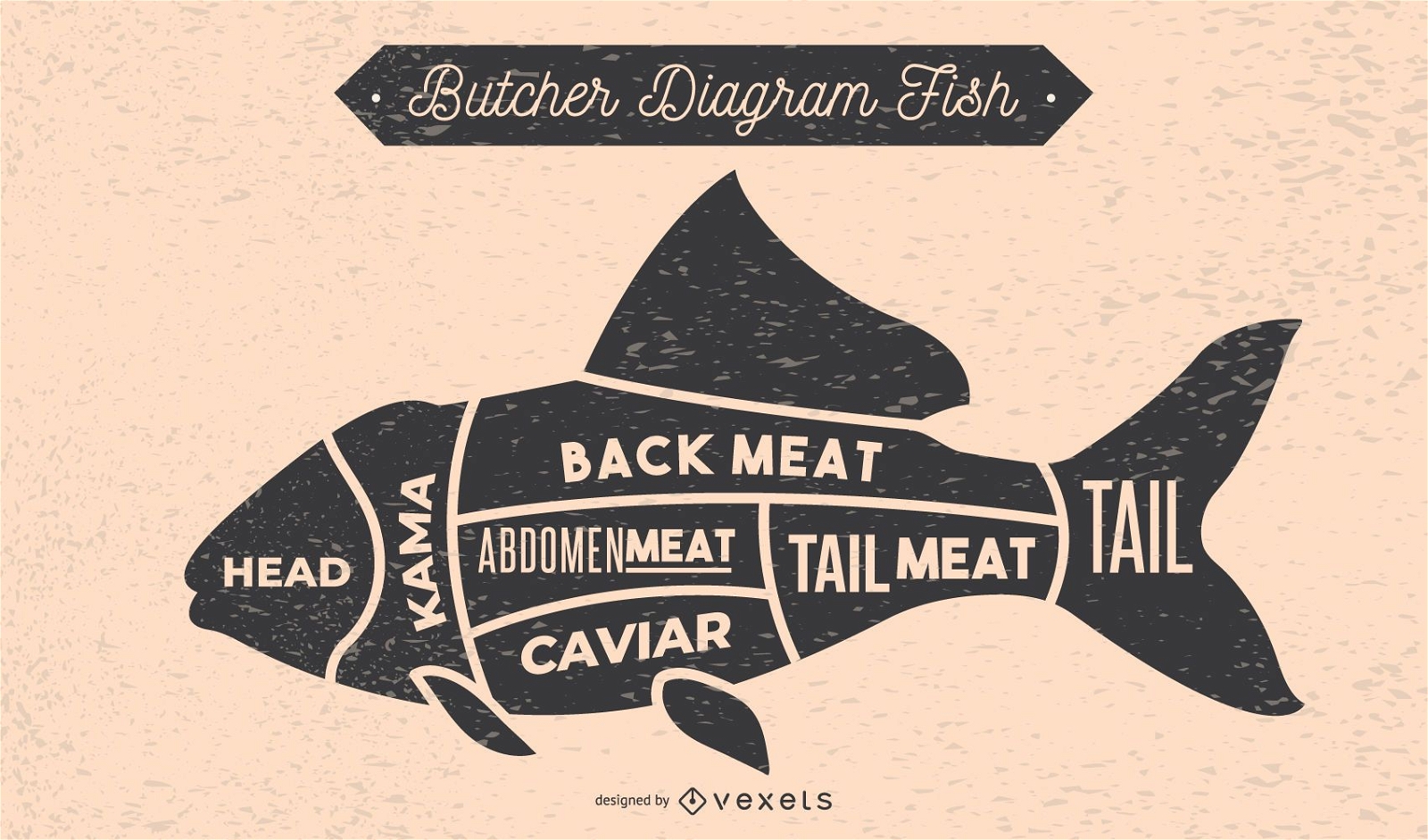 Fish Butcher Diagram