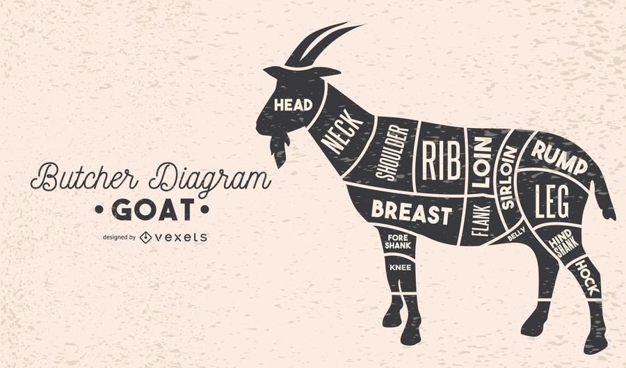 Goat Butcher Diagram - Vector Download