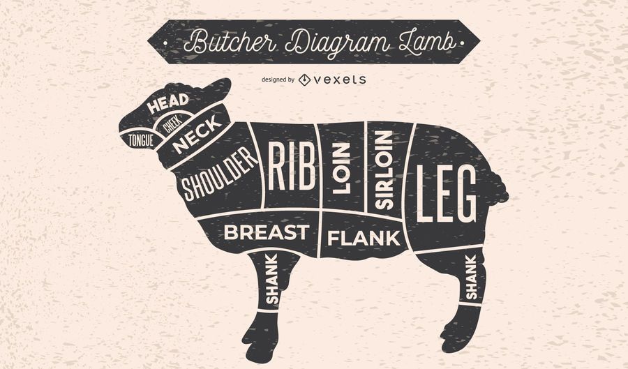 Lamb Butcher Diagram Design - Vector Download