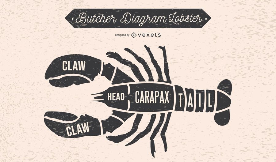 Lobster Butcher Diagram Design Lobster Butcher Diagram Design