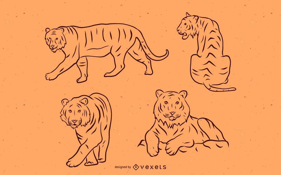 Tiger Stroke Set Tiger Stroke Set