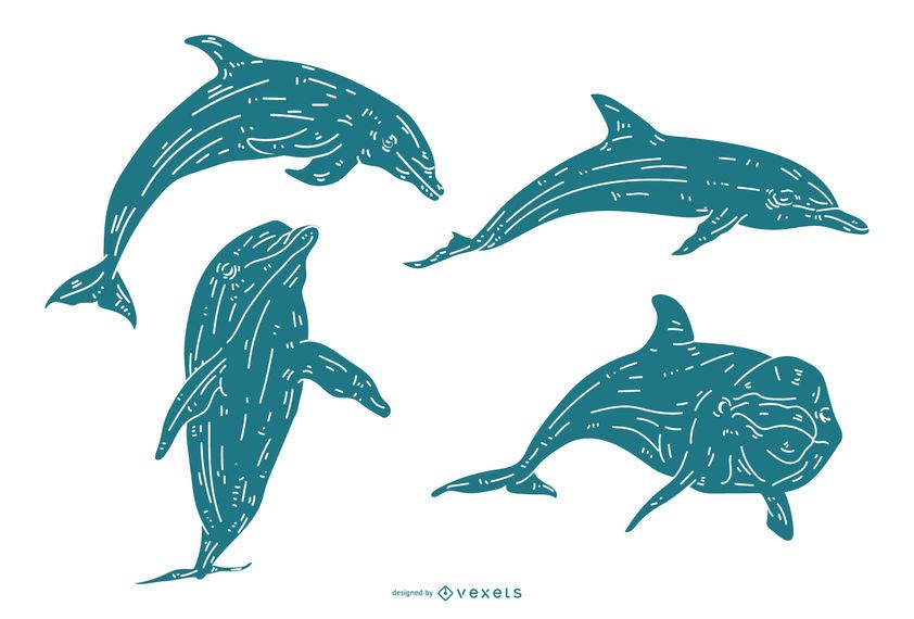 Detaillierte Delphin Silhouette Set Detaillierte Delphin Silhouette Set