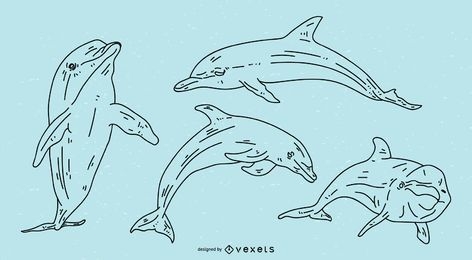 Dolphins stroke poses Illustration Set