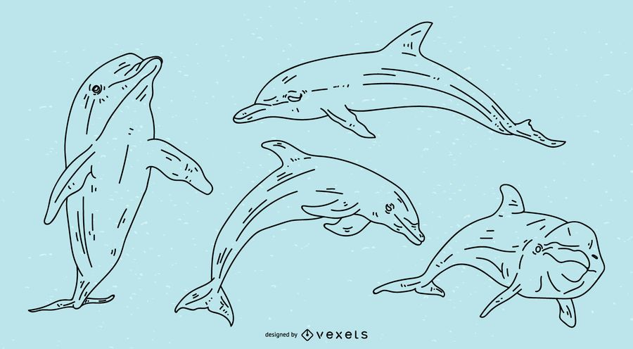 Conjunto de ilustração de traçado de golfinho Conjunto de ilustração de traçado de golfinho