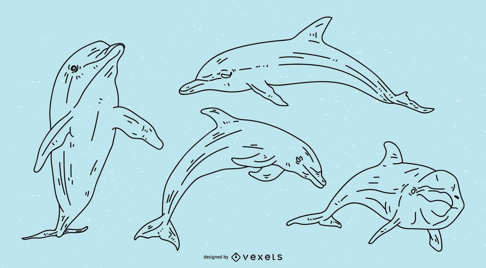 Juego de ilustración de poses de trazo de delfines