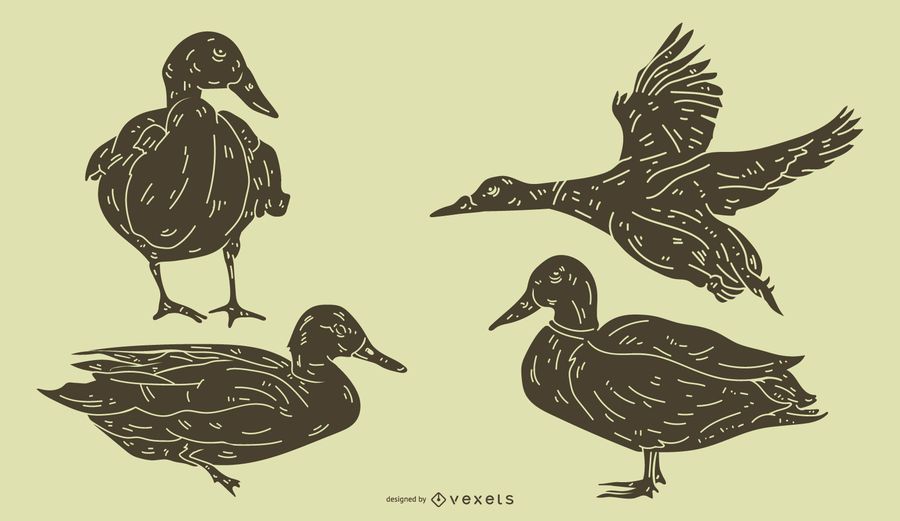 Detailed Duck Silhouette Set Detailed Duck Silhouette Set