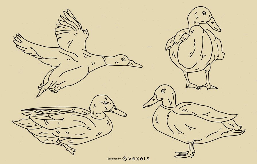 Duck Stroke Style Set Duck Stroke Style Set