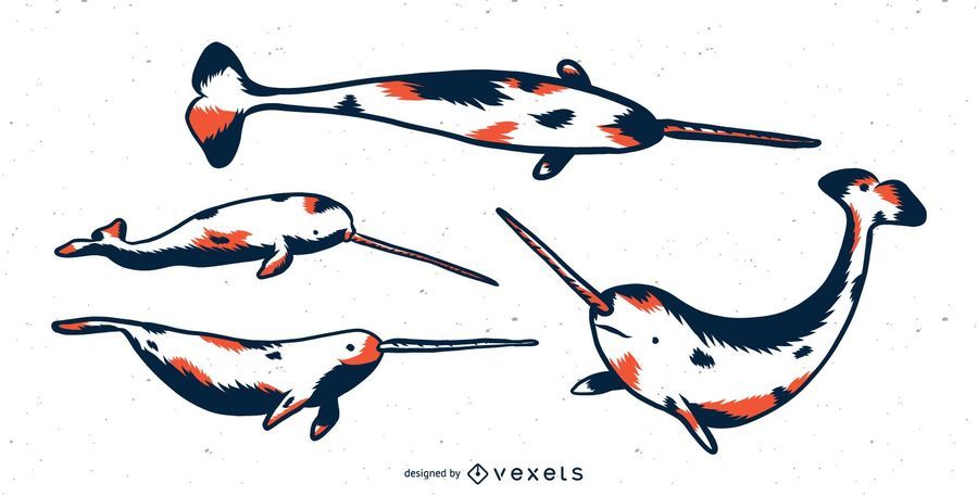 Narwhal Duo Tone Illustration Set Narwhal Duo Tone Illustration Set