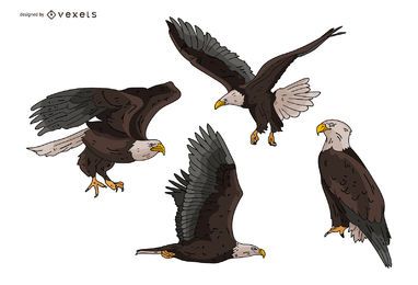 Conjunto de ilustración de águila Conjunto de ilustración de águila