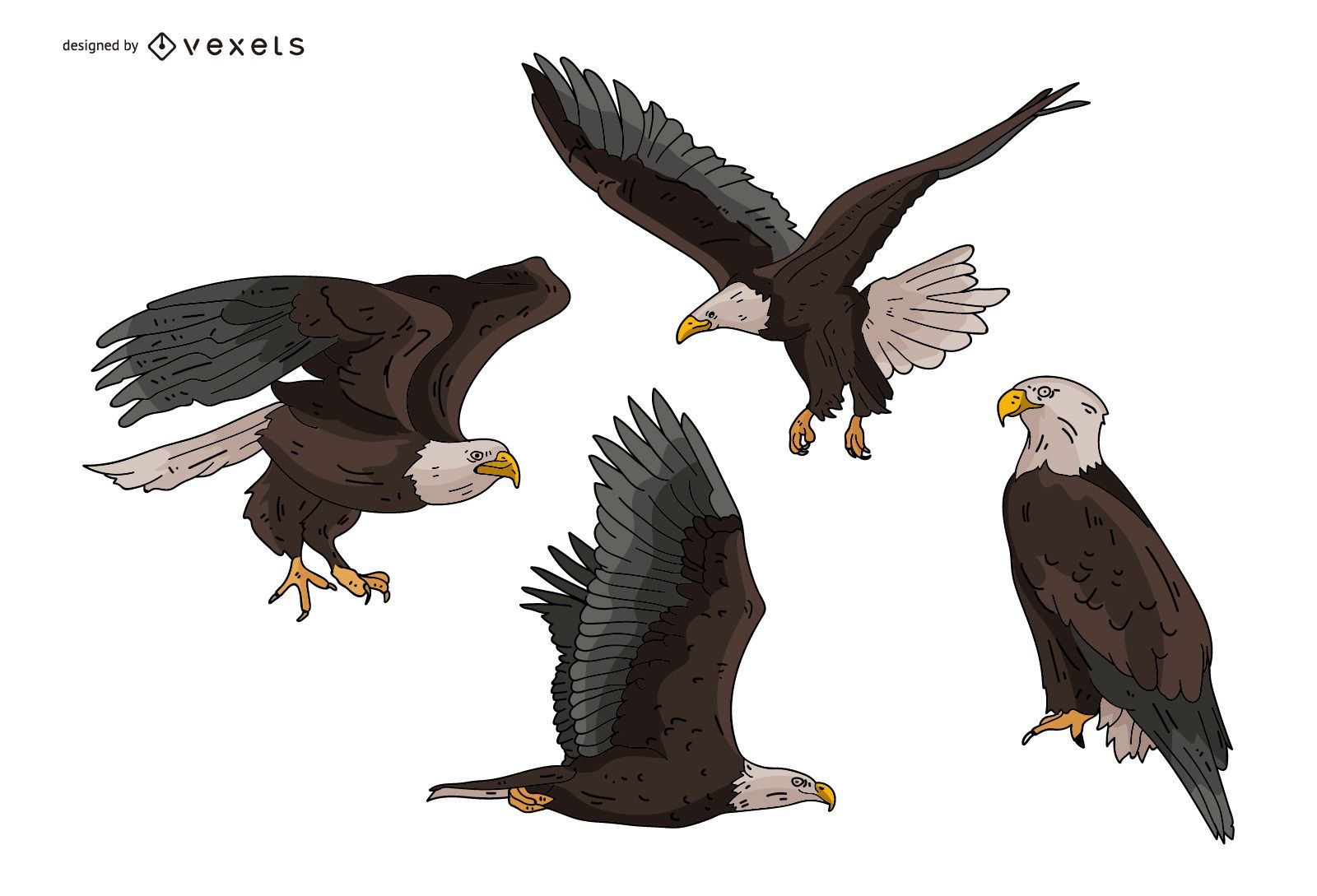 Eagle Illustration Set - Vector Download