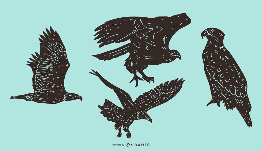 Eagle Detailed Silhouette Set Eagle Detailed Silhouette Set