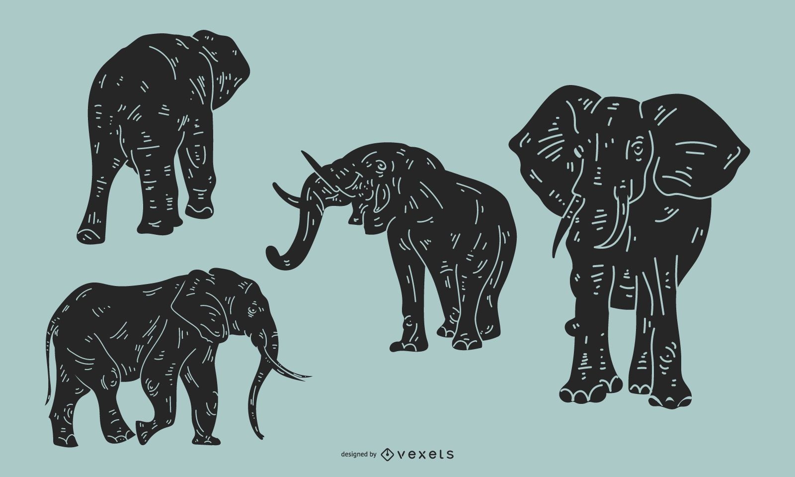 Elefant Detaillierte Silhouette Set